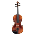 Montature complete Violino